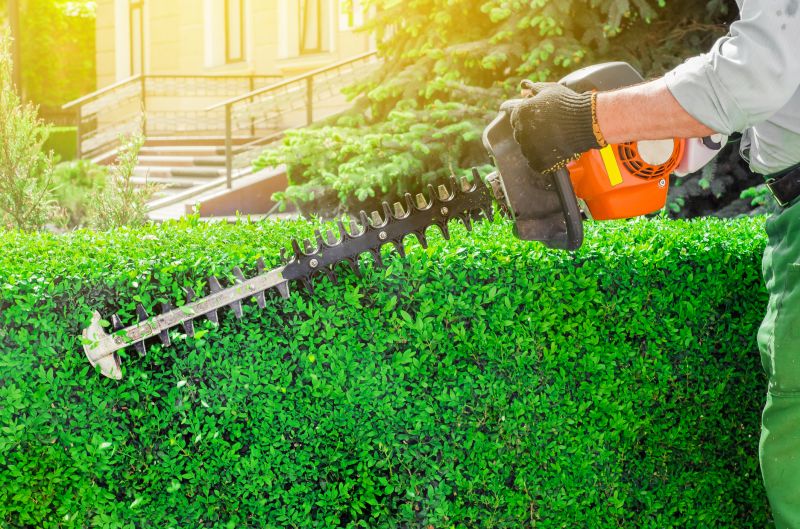 Evergreen Hedge Trimming